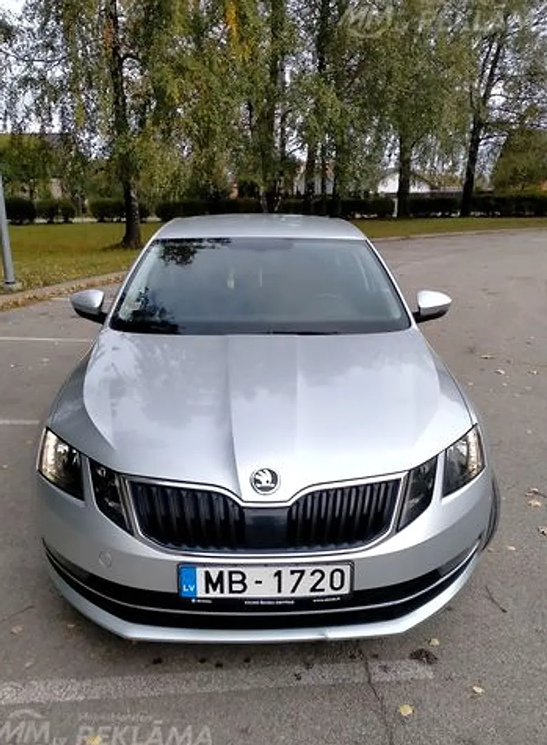 Škoda Octavia, 2019. gads