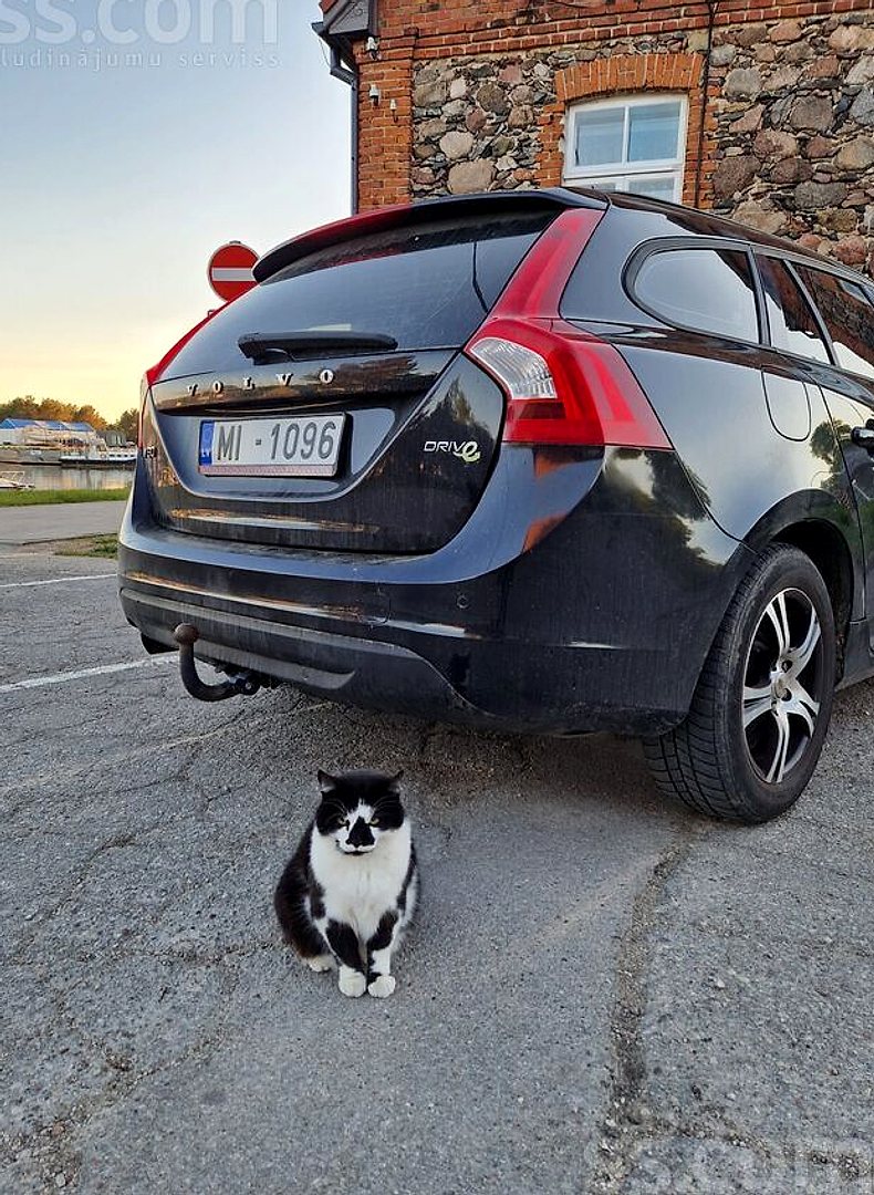 Volvo V60 — foto 6