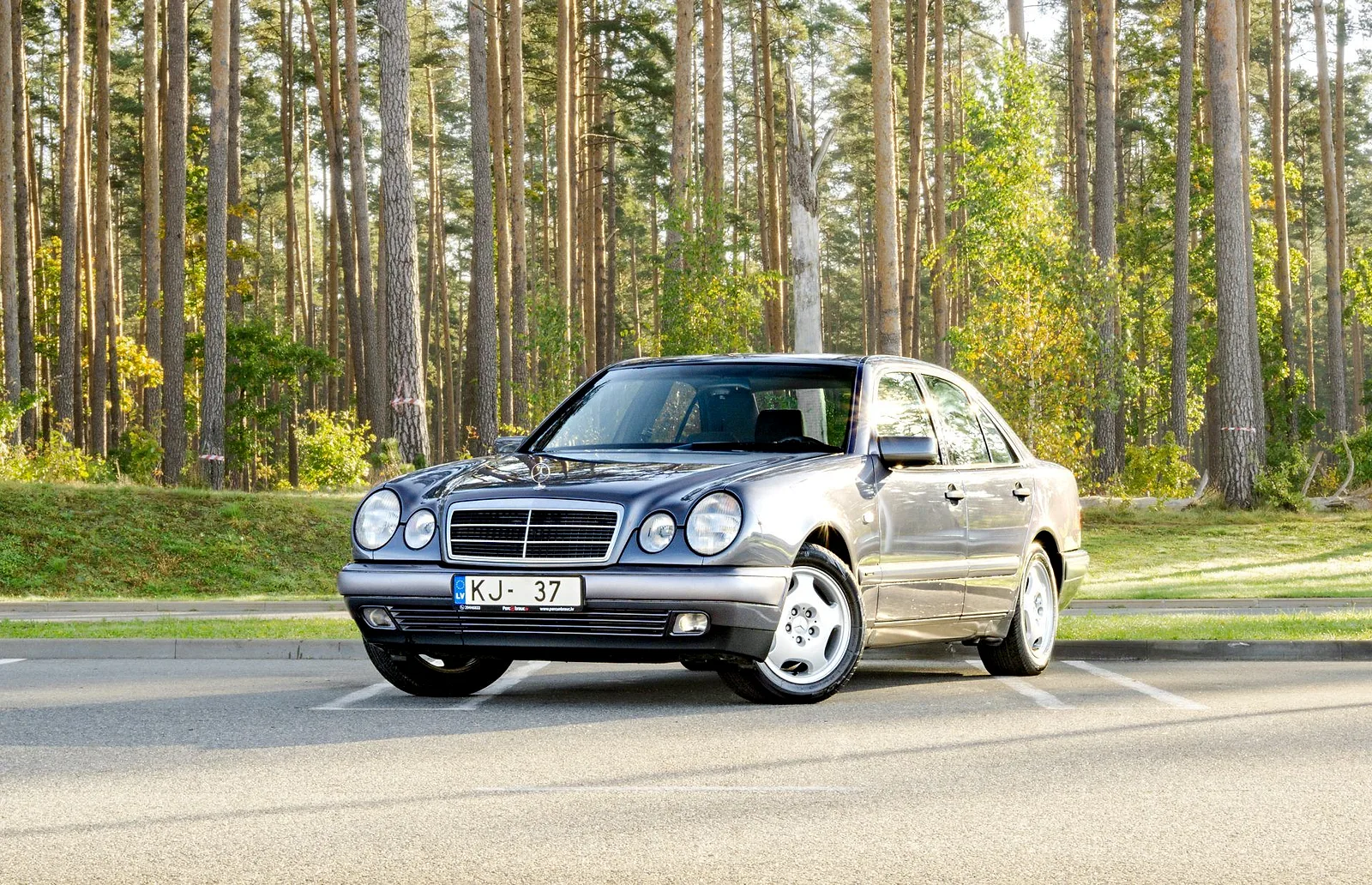 Mercedes-Benz BENZ E220, 1996. gads