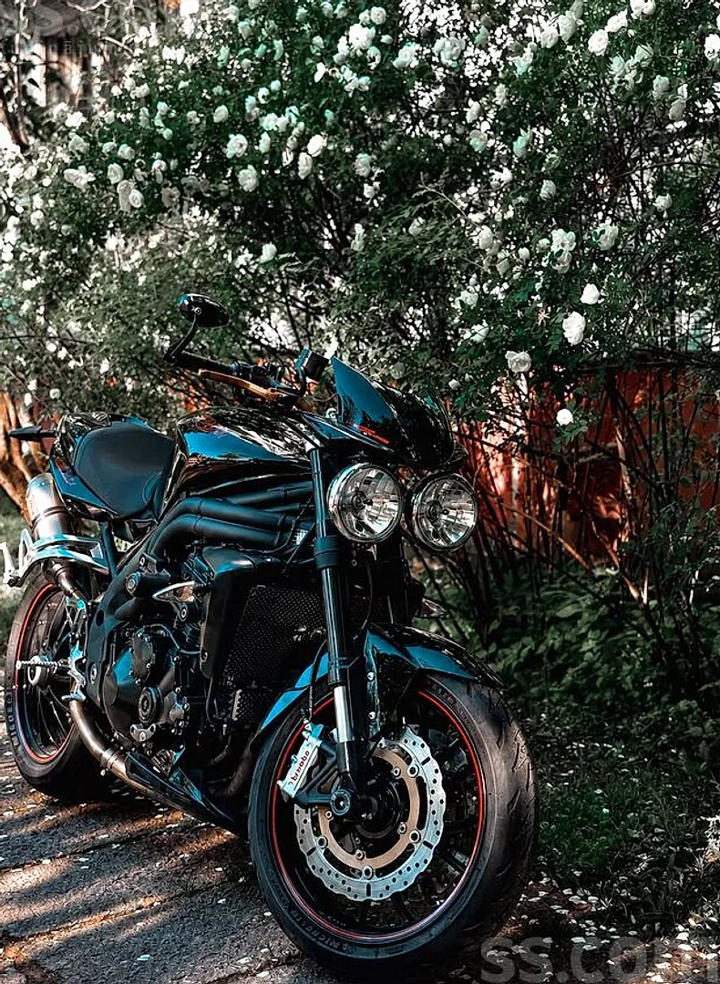 Triumph Speed trieple, 2009. gads