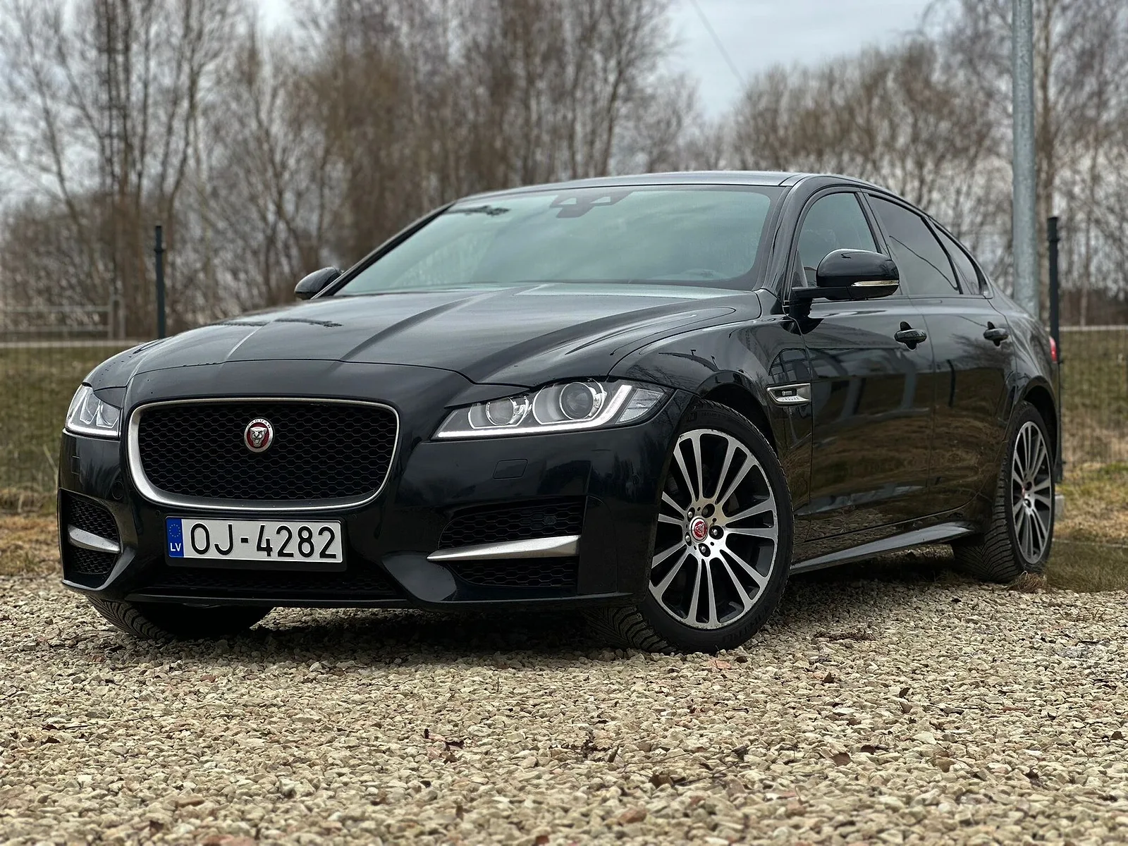 Jaguar XF, 2019. gads