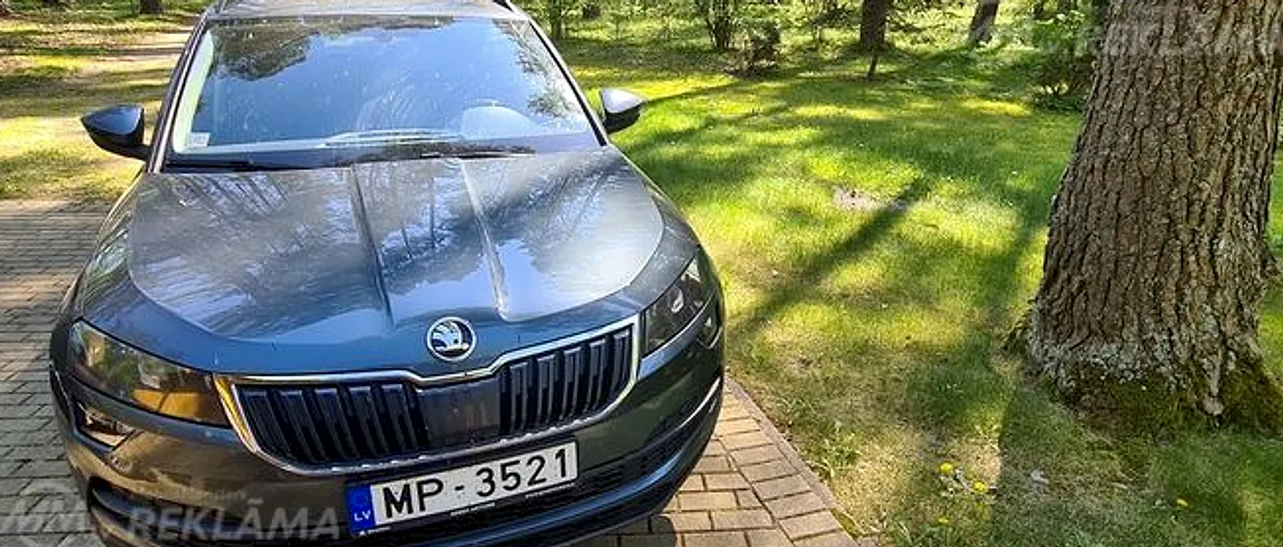 Škoda Karoq, 2020. gads