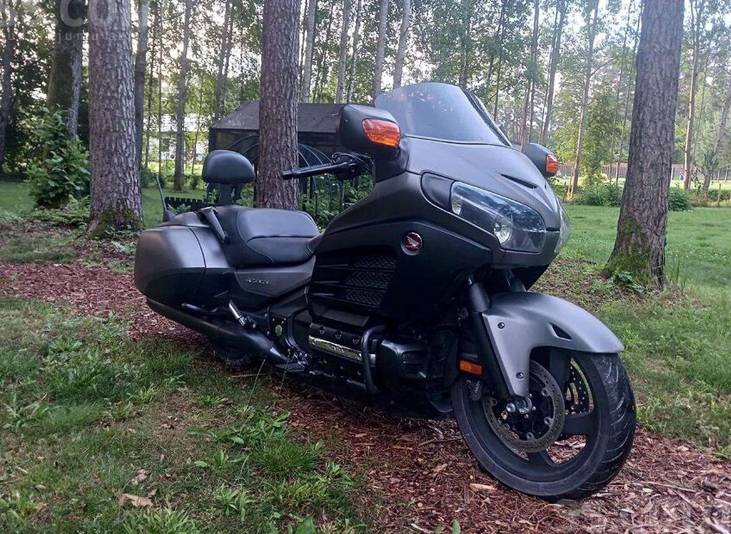 Honda F6B