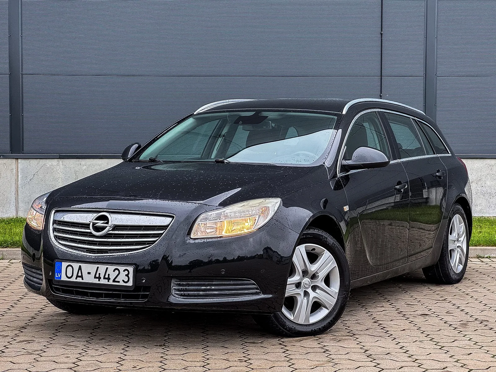 Opel Insignia Sports Tourer, 2009. gads
