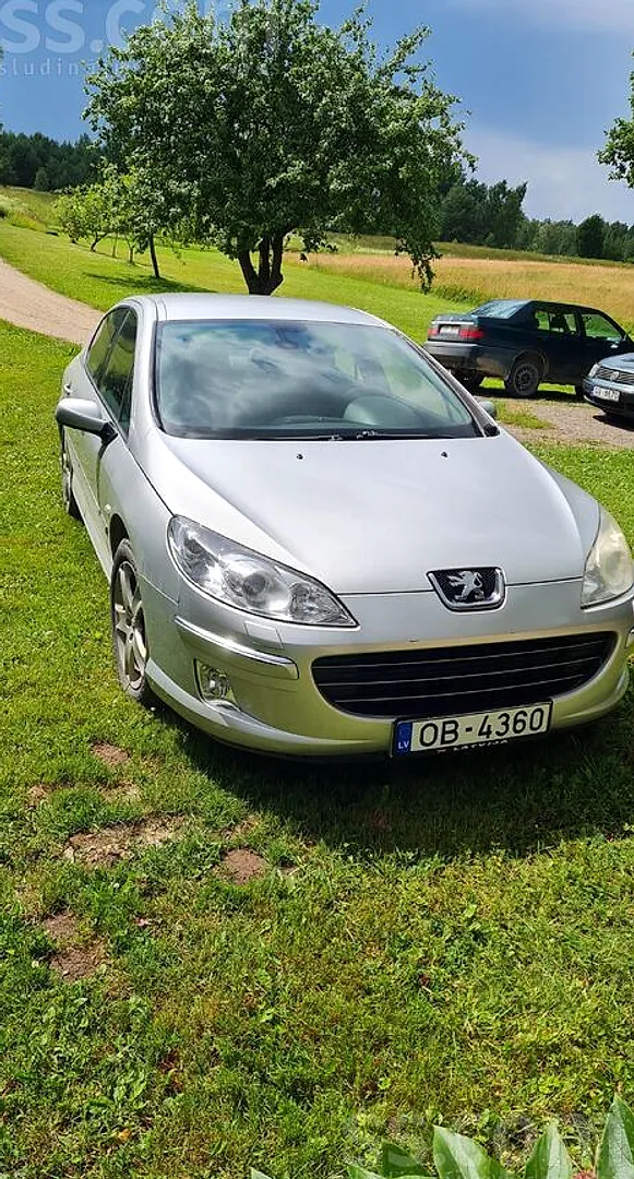 Peugeot 407, 2007. gads