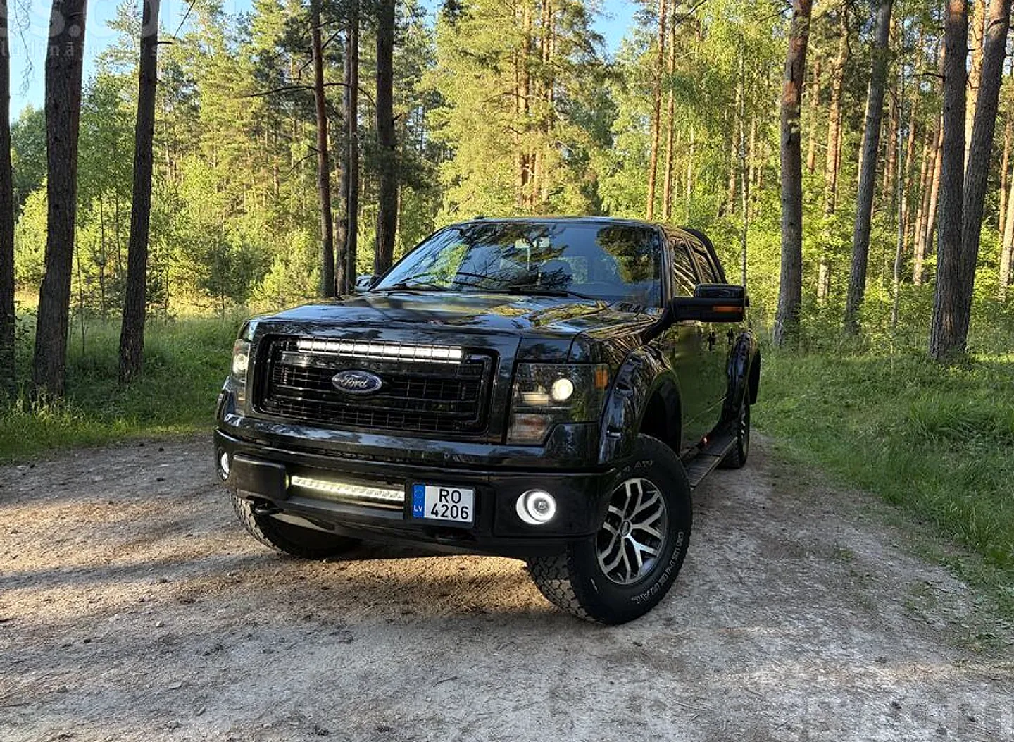 Ford F150, 2013. gads