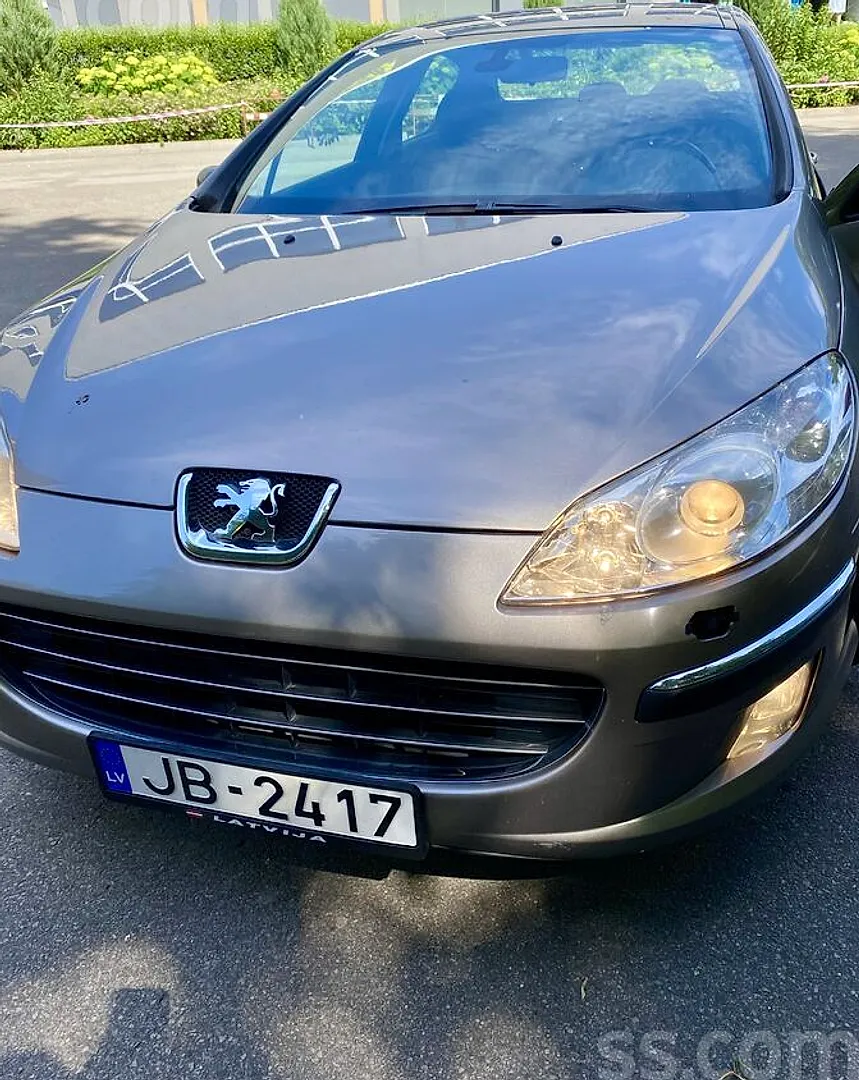 Peugeot 407, 2007. gads