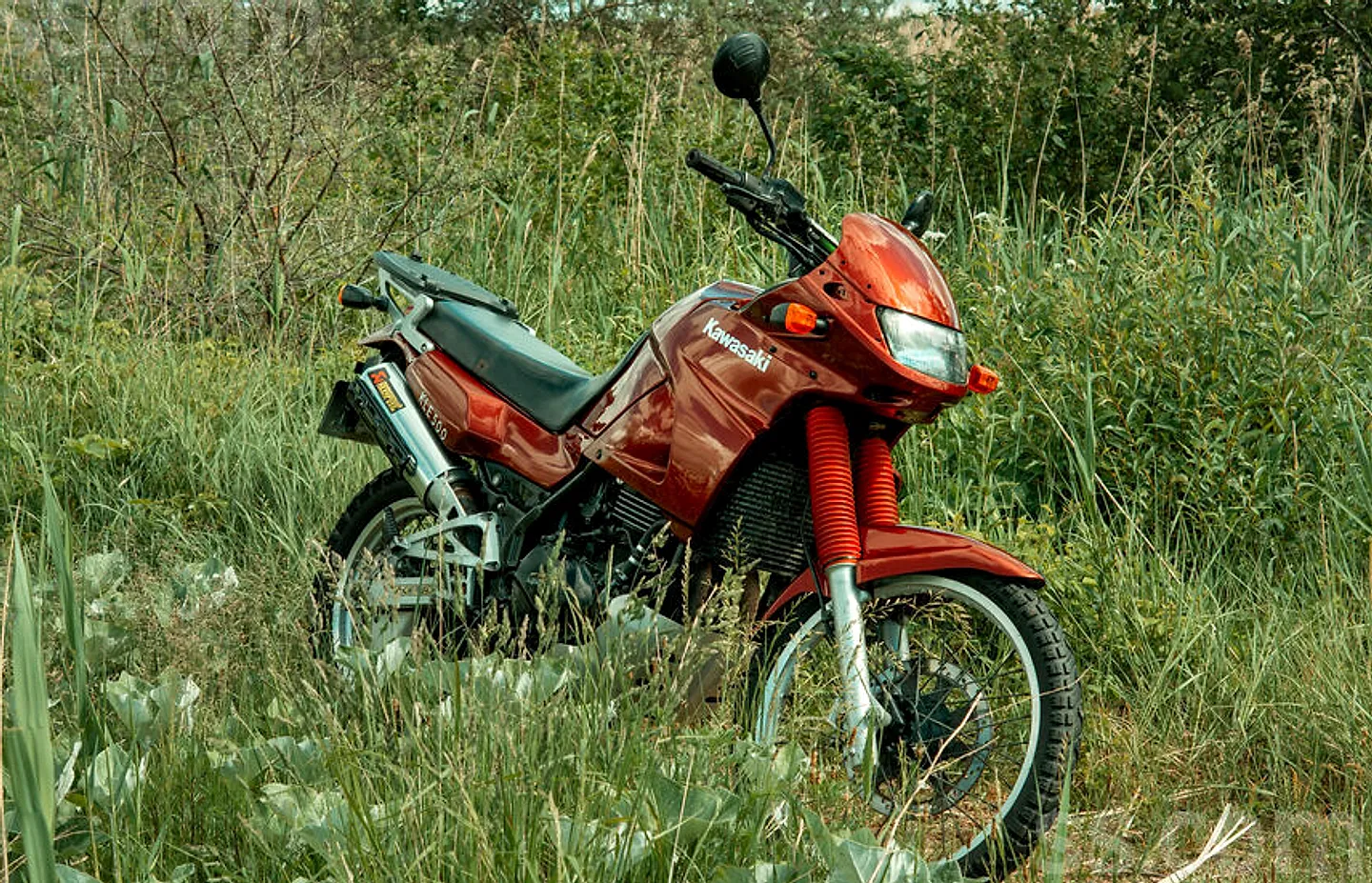 Kawasaki Kle, 1991. gads