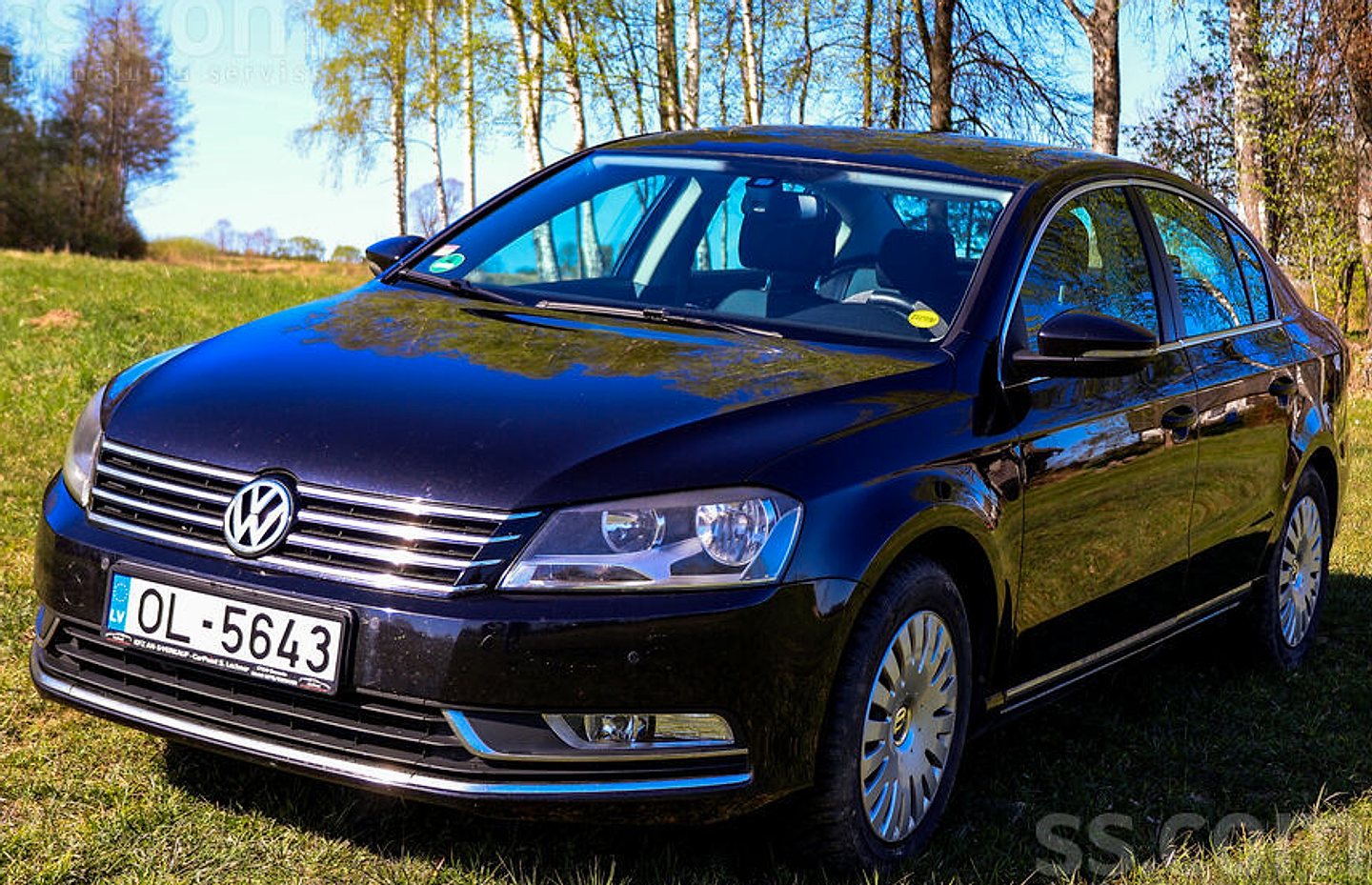 Volkswagen Passat (B7), 2013. gads