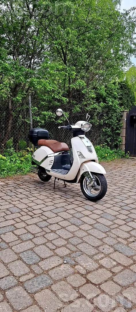 Rober bikes