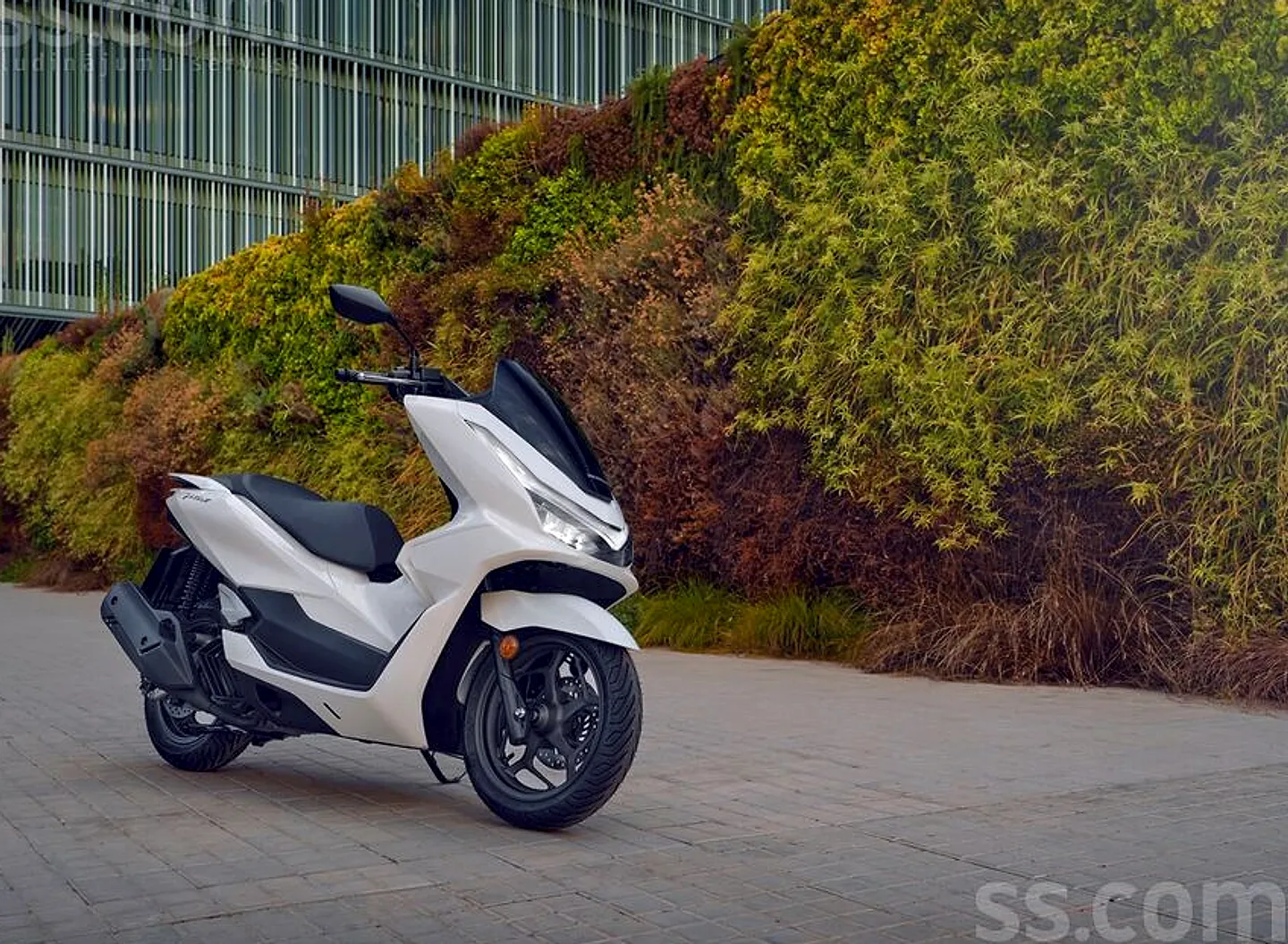 Honda Pcx, 2026. gads
