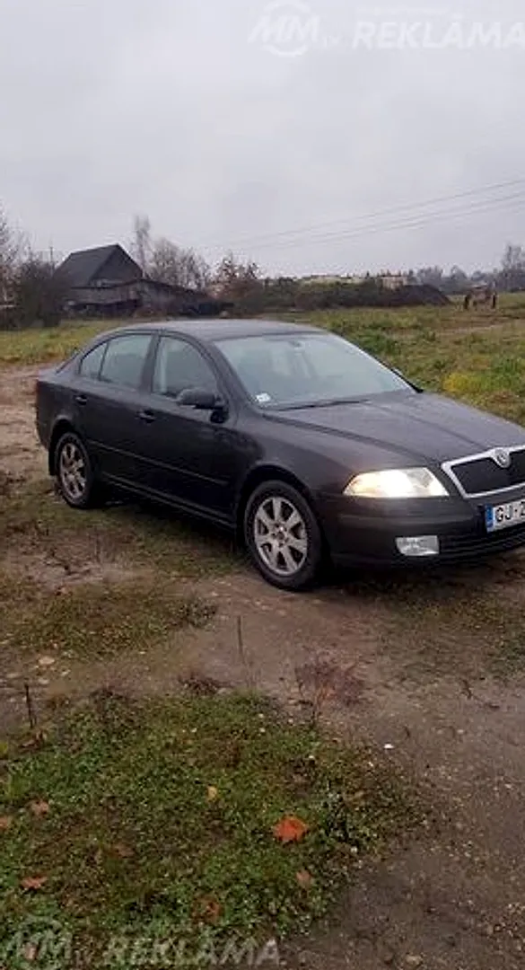 Škoda Octavia, 2007. gads