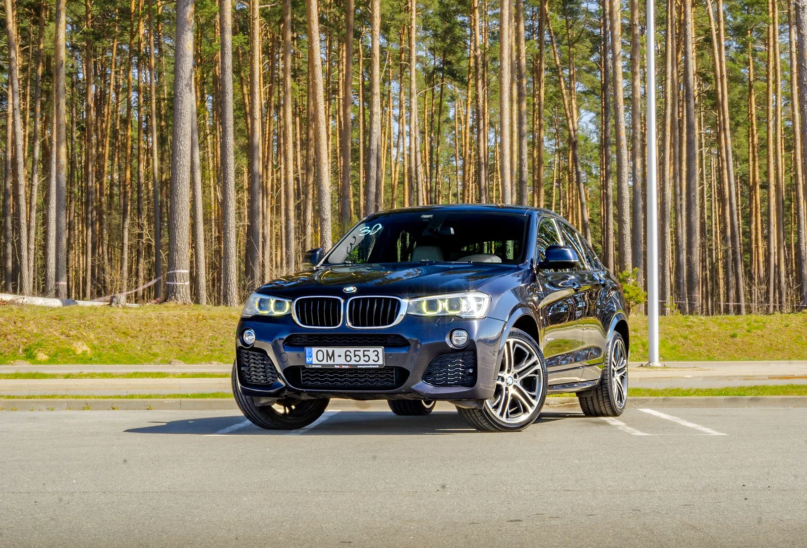BMW X4 XDRIVE20D M-PACK, 2014. gads