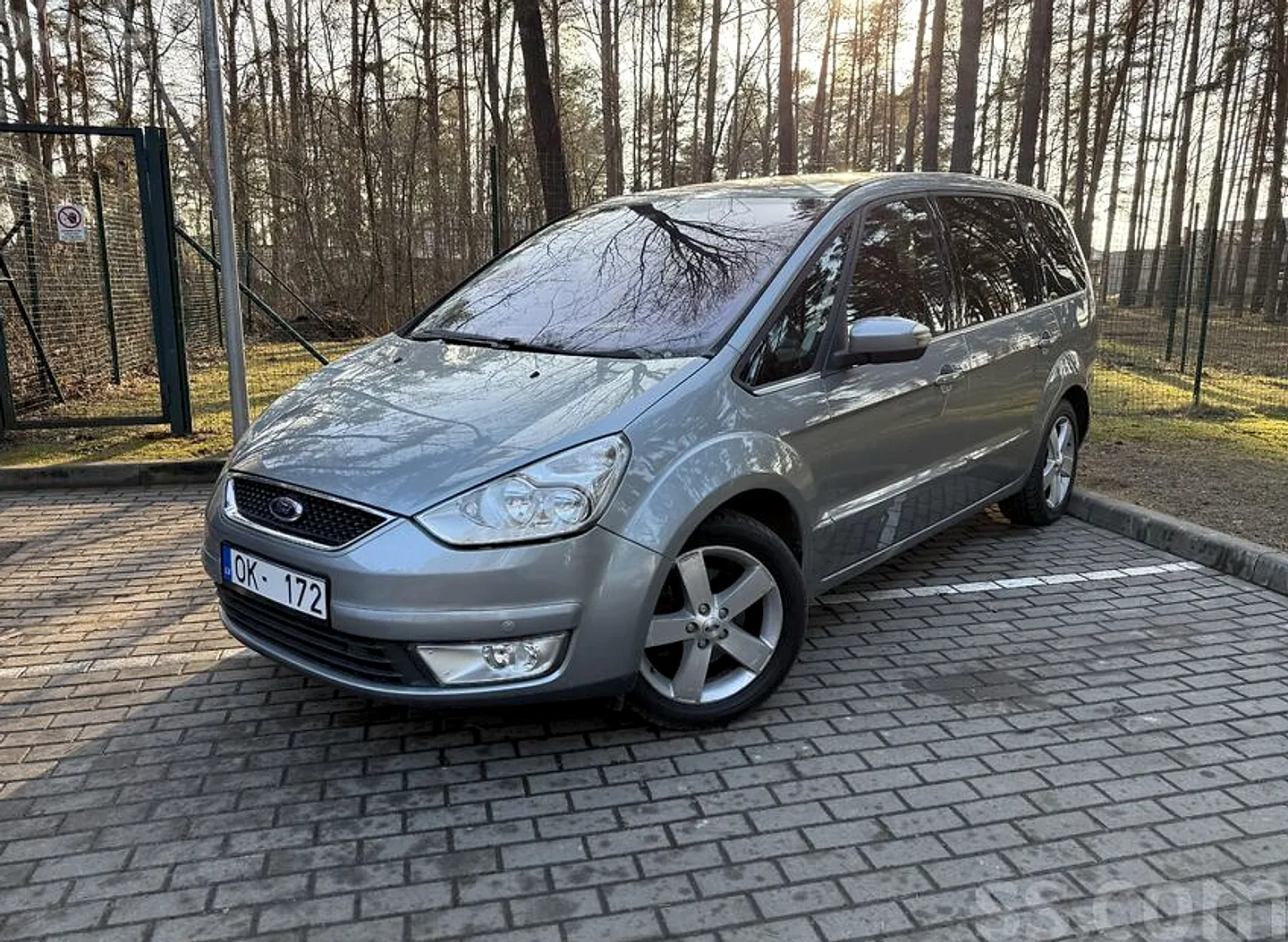 Ford Galaxy, 2010. gads