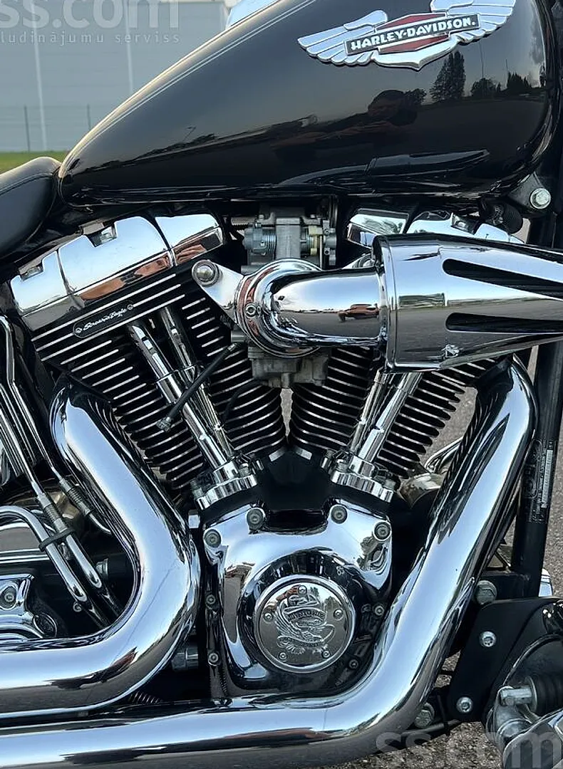Harley-Davidson Flstc, 2000. gads
