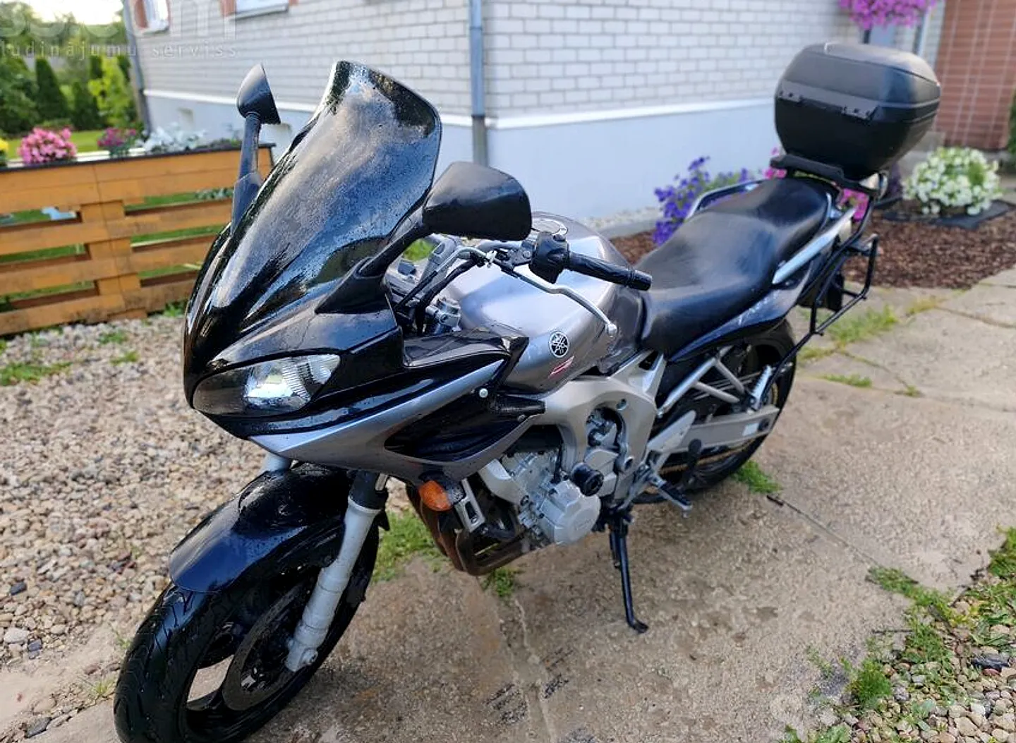 Yamaha Fz6 S