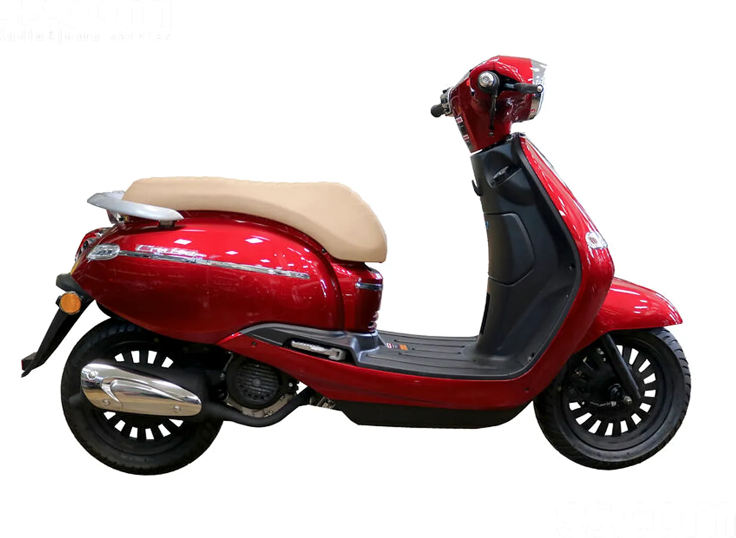 Znen Veracruzcruize, 2025. gads