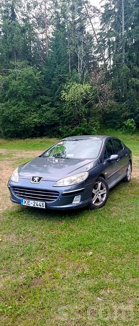 Peugeot 407, 2004. gads