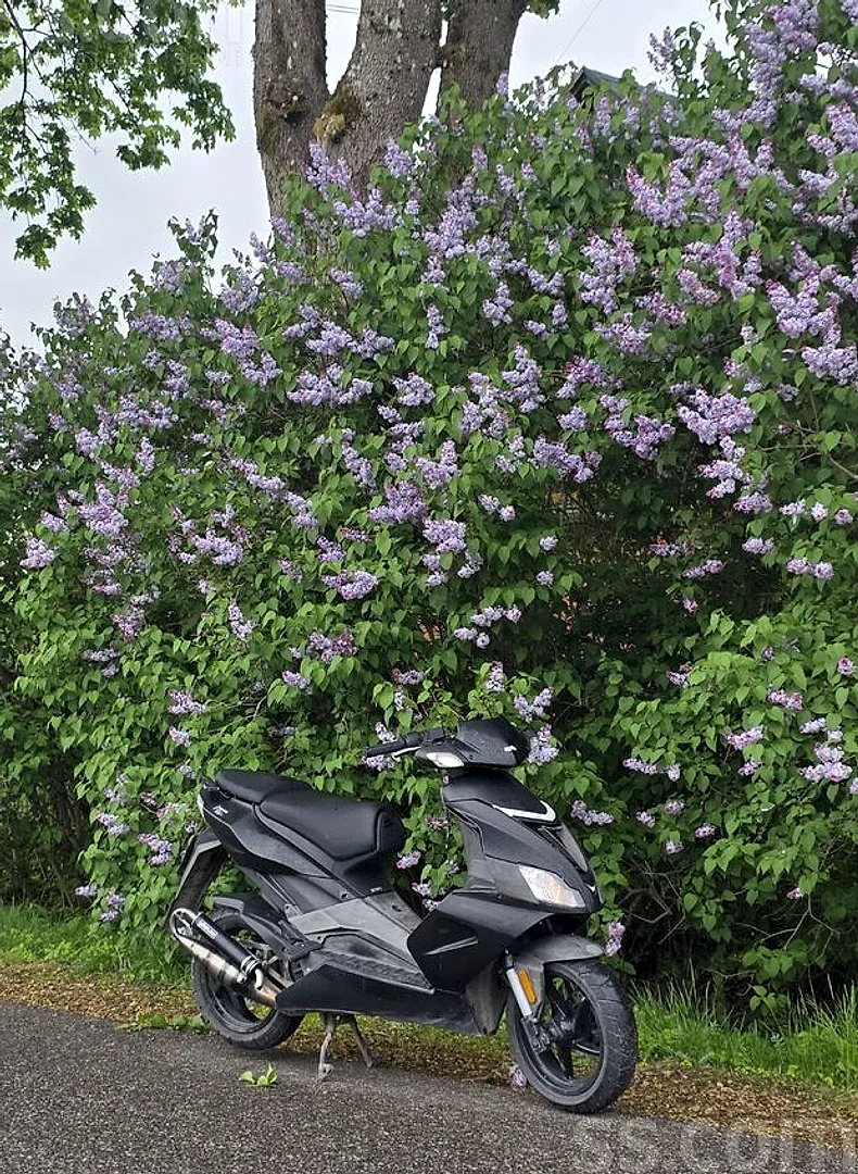Aprilia Sr50, 2015. gads