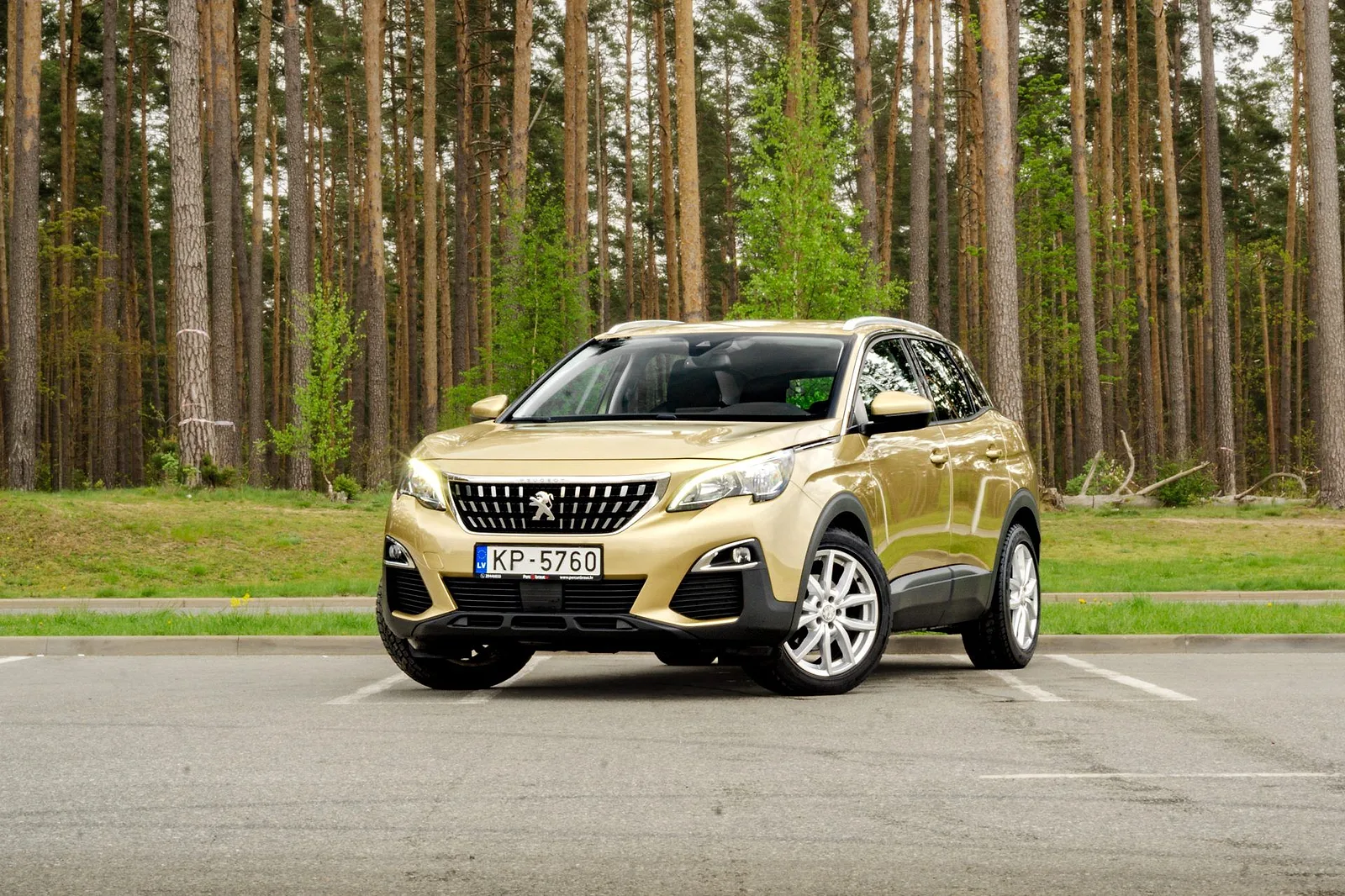 Peugeot 3008, 2017. gads