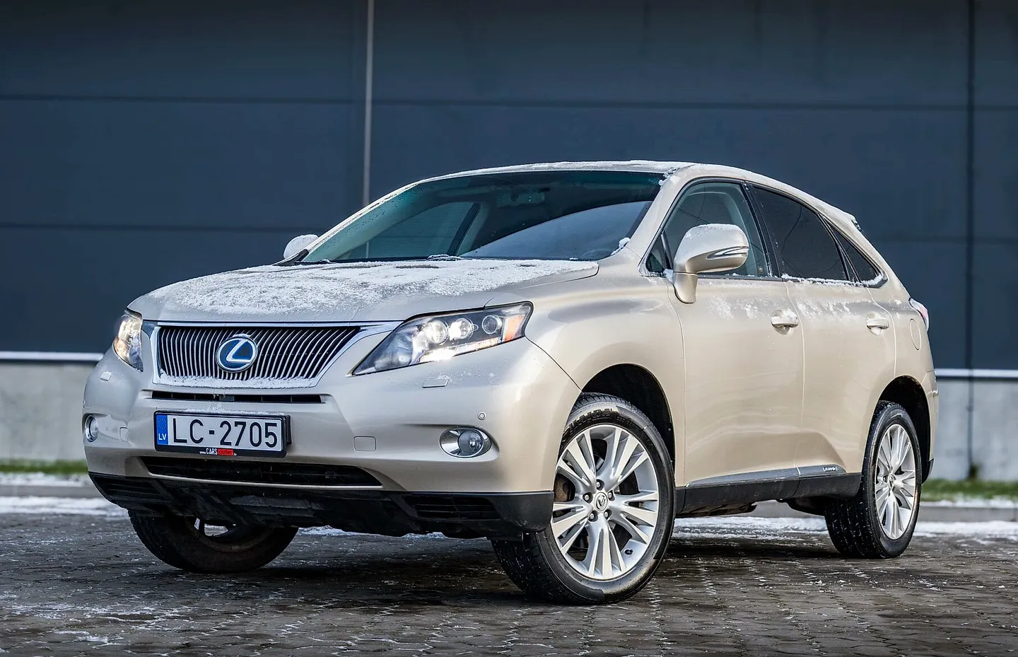 Lexus RX 300, 2010. gads