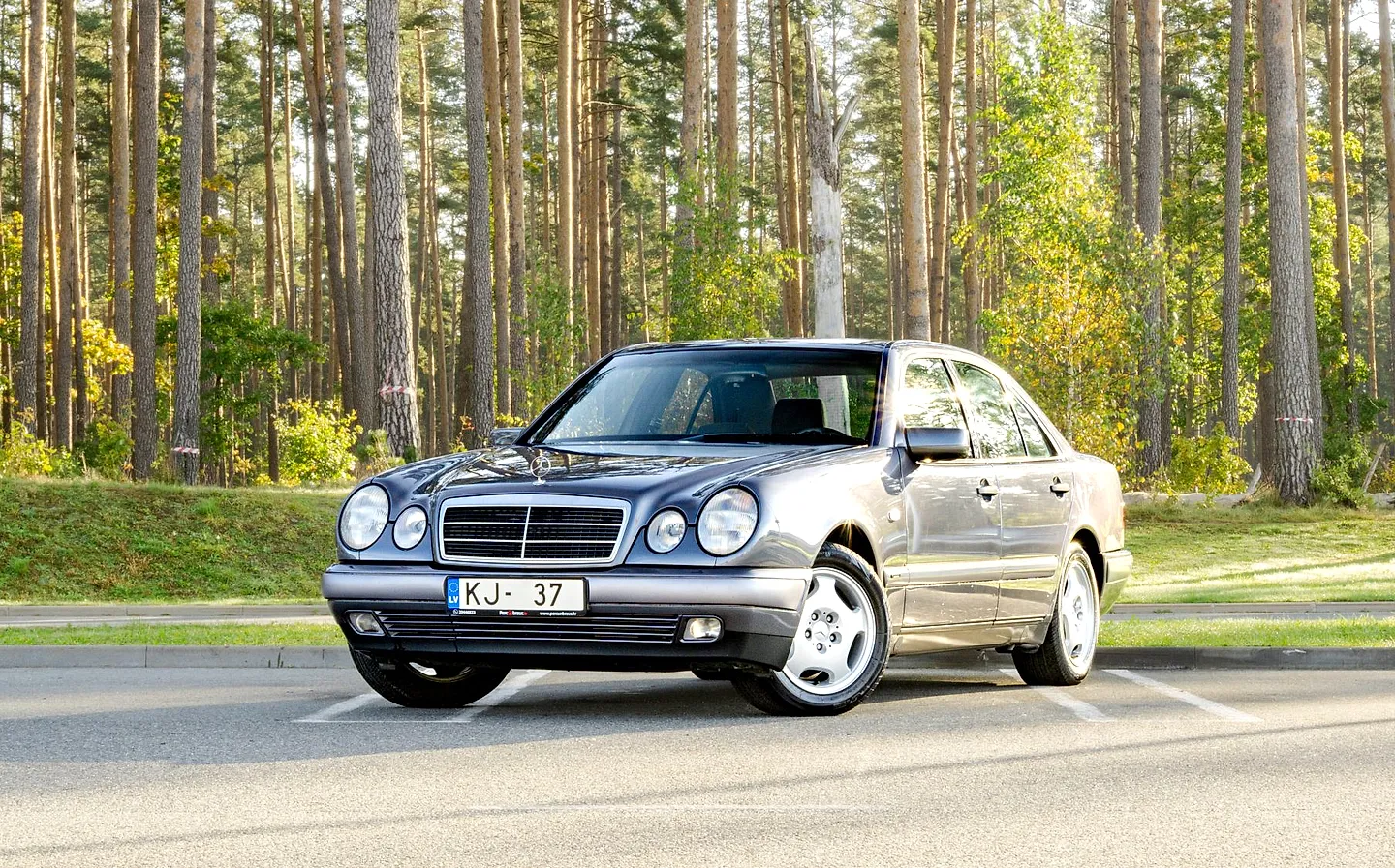 Mercedes-Benz Benz E 220, 1996. gads