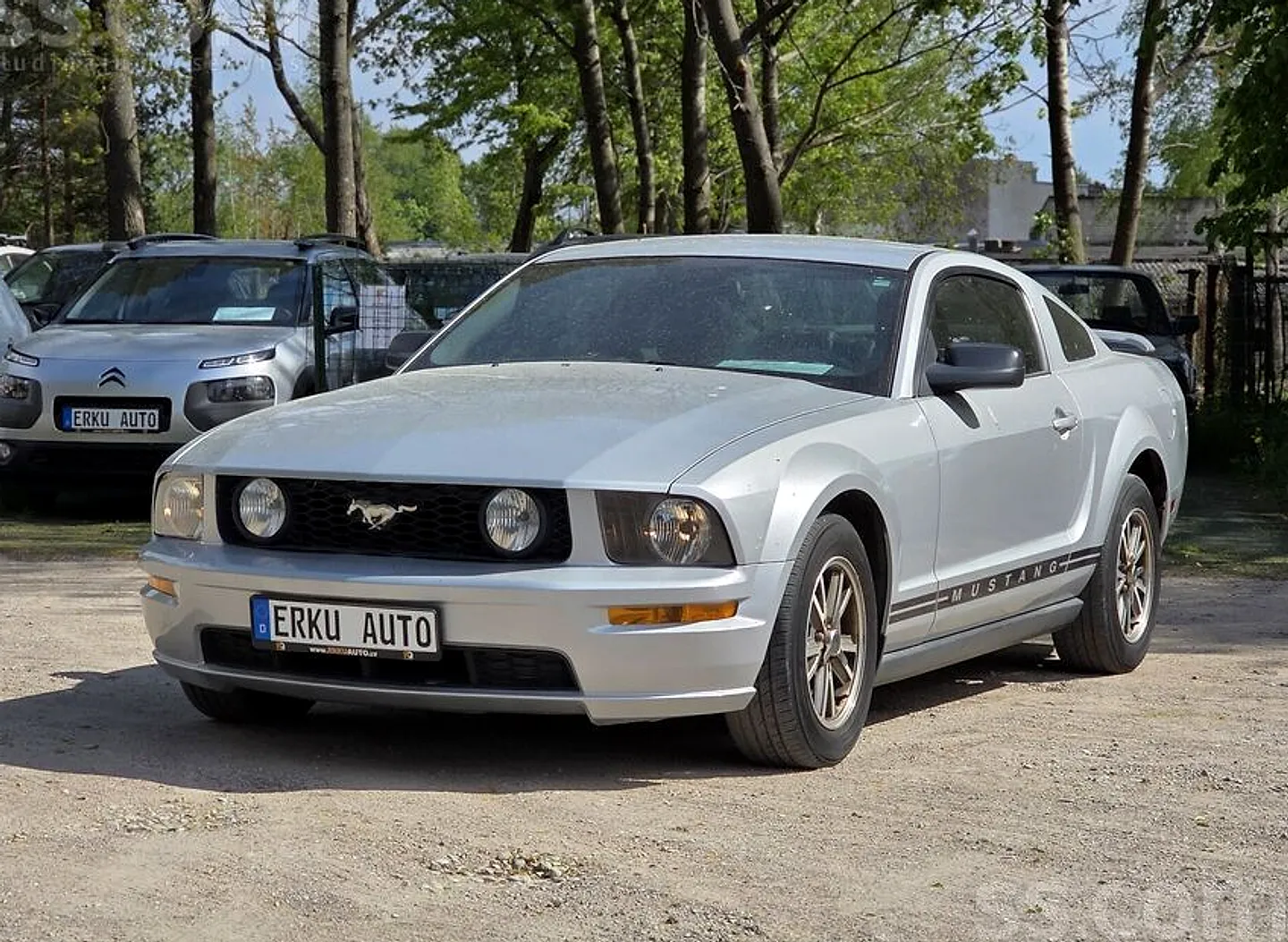 Ford Mustang, 2005. gads