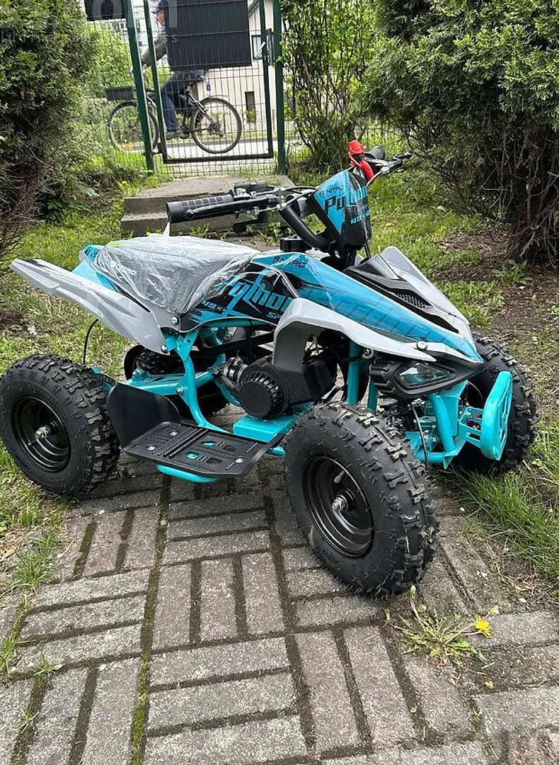 Atv Pytons