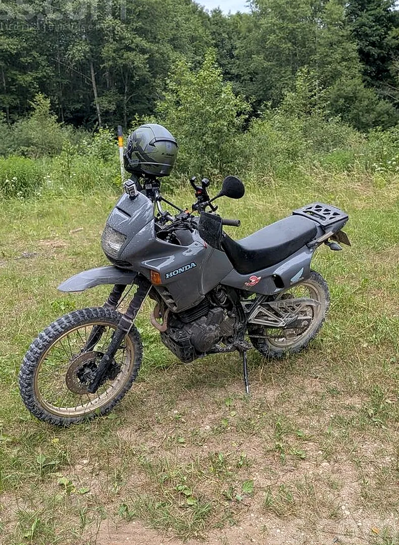 Honda Dominator