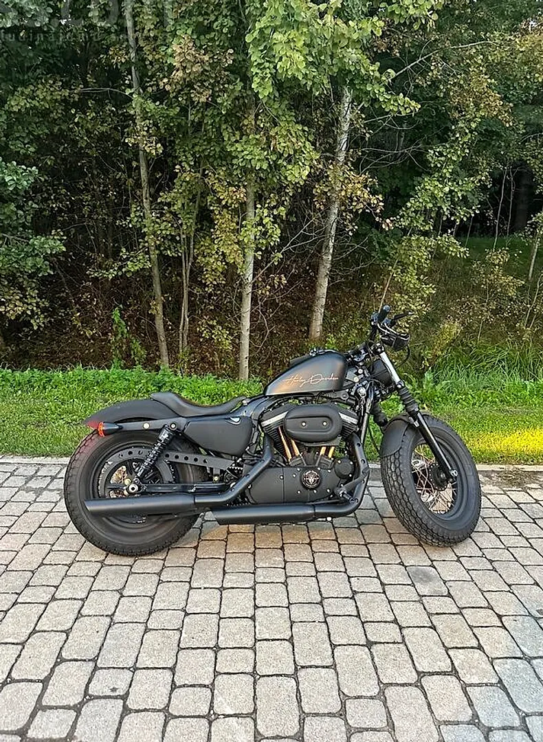Harley-Davidson Xl iron 883, 2011. gads