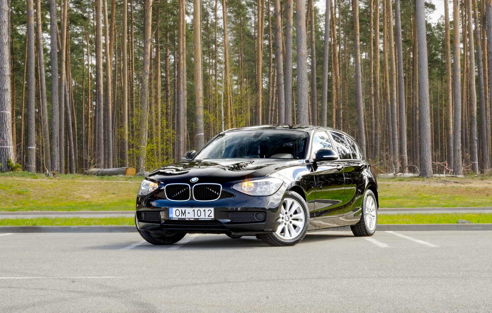 BMW 116, 2011. gads