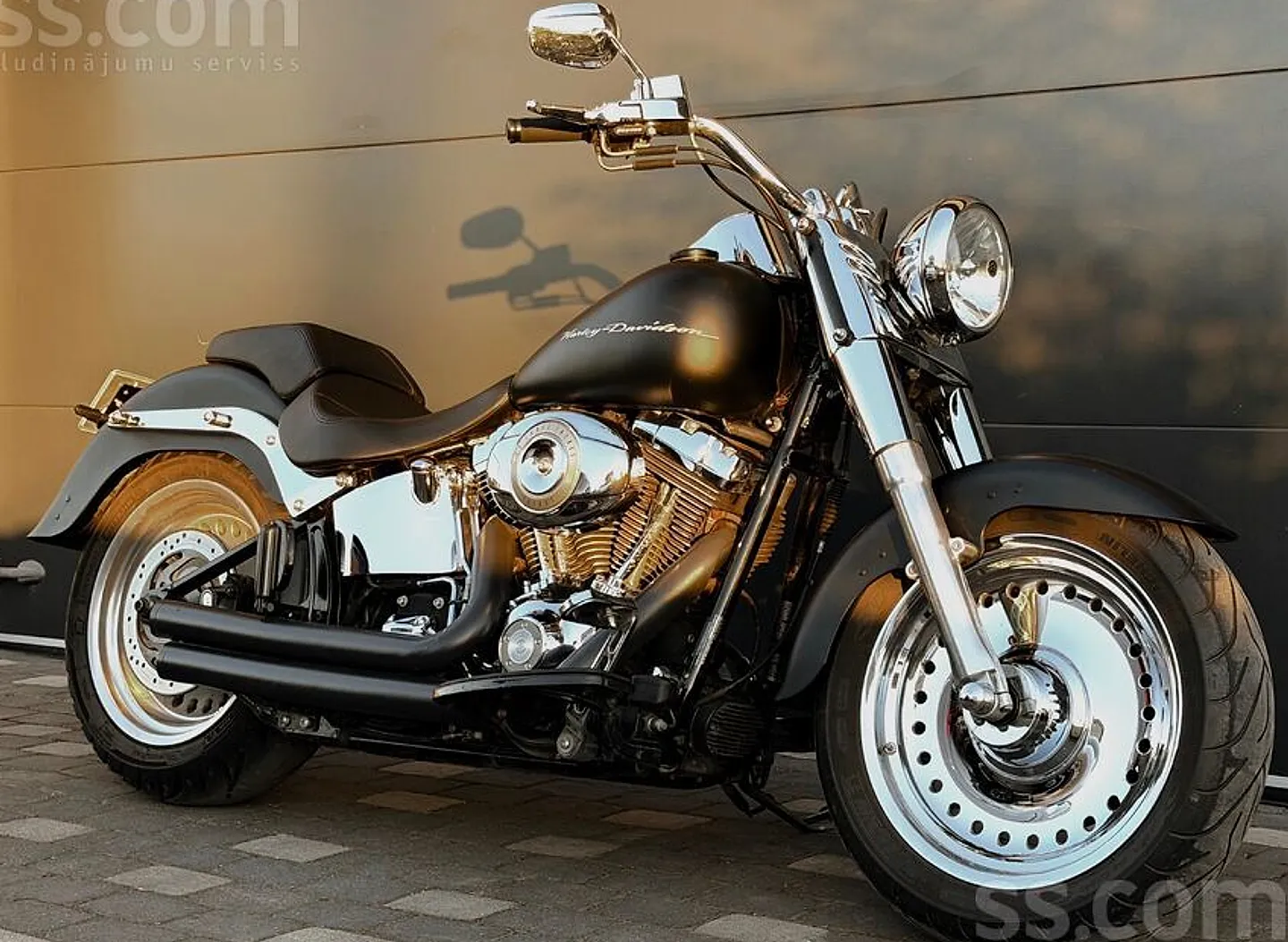 Harley-Davidson Flstf, 2009. gads