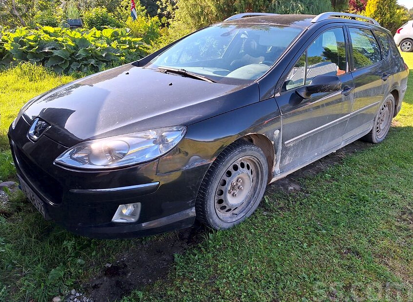Peugeot 407, 2005. gads