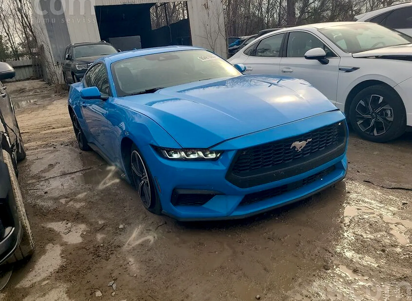 Ford Mustang, 2025. gads