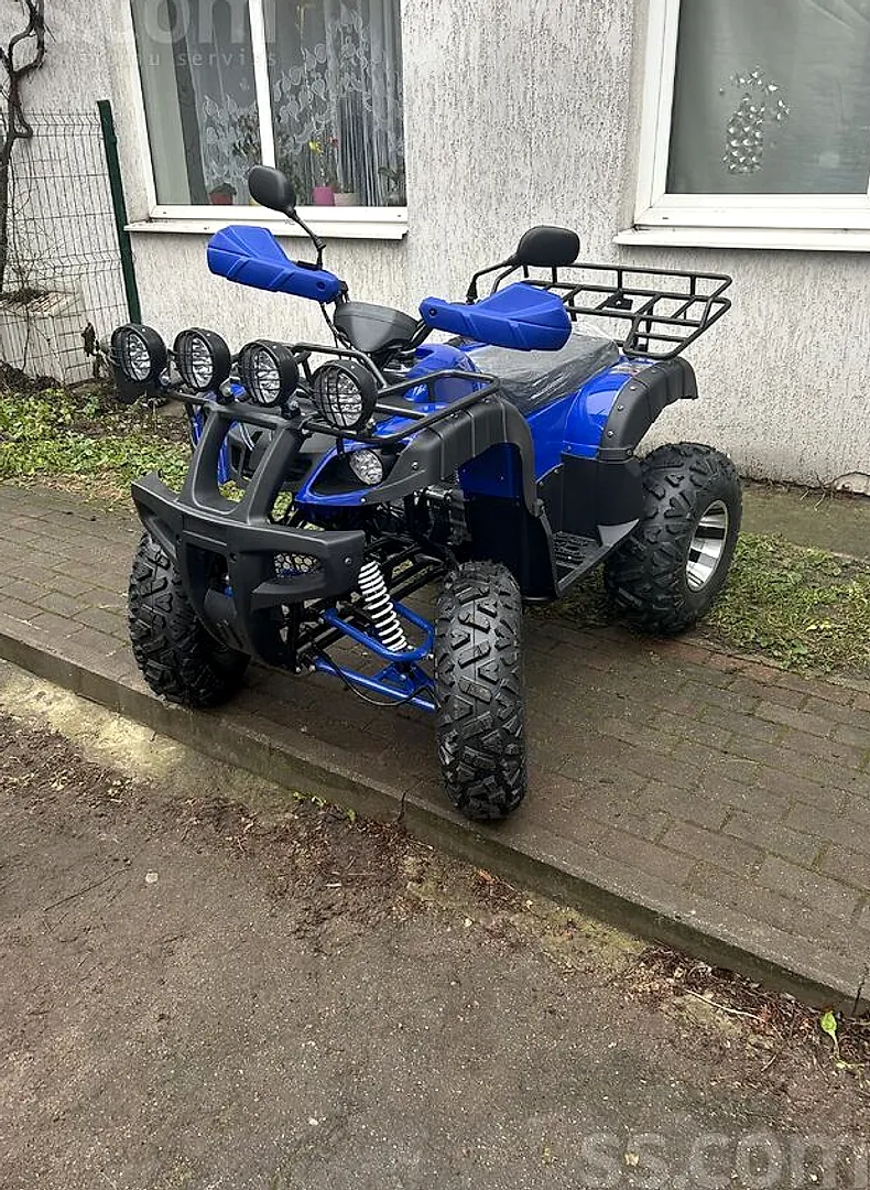 Atv Hammer, 2026. gads