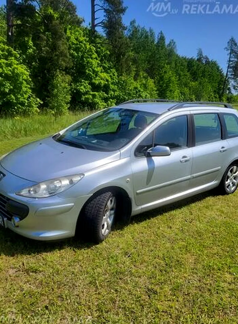 Peugeot 307, 2008. gads