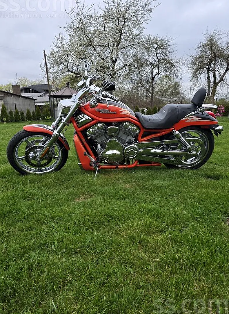 Harley-Davidson Vrscse, 2005. gads