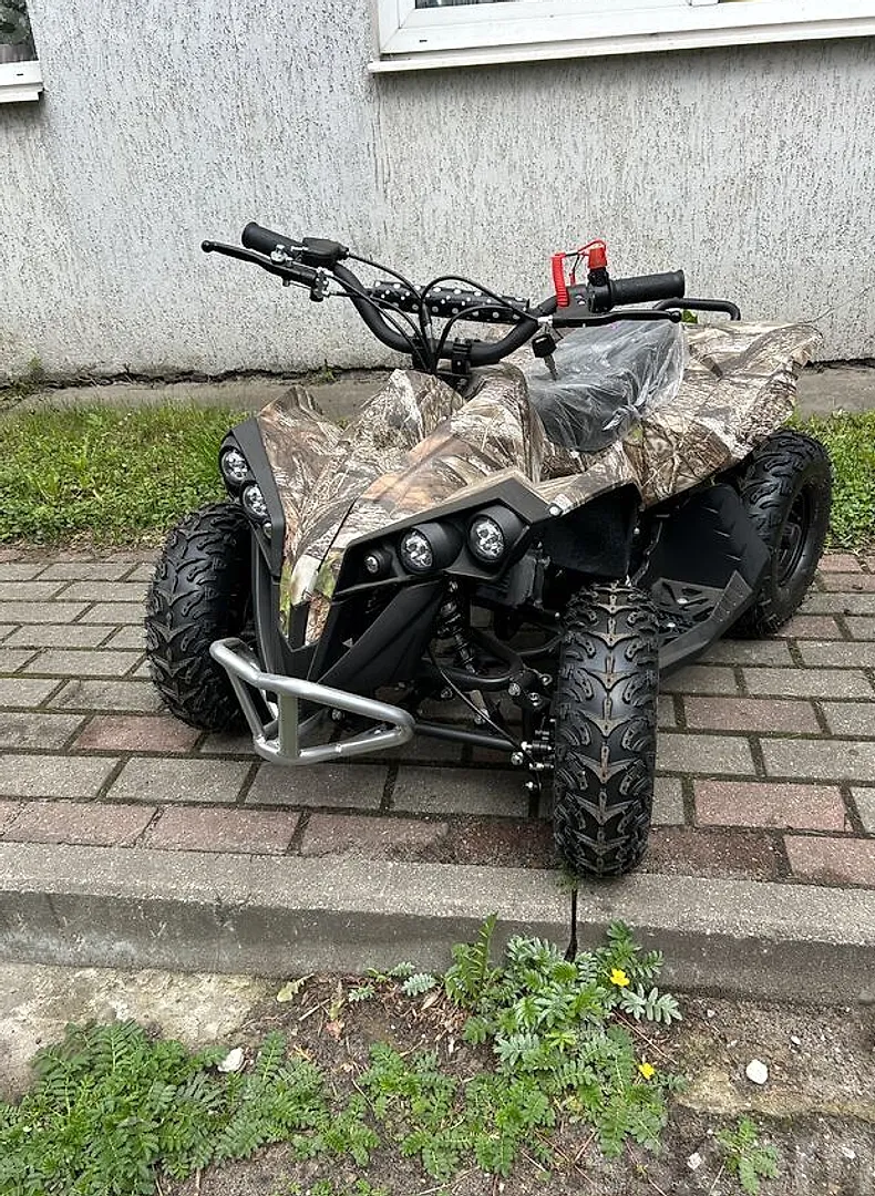 Atv Wario