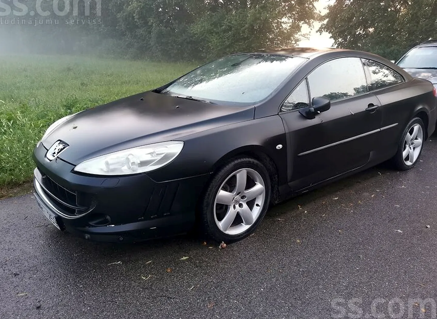 Peugeot 407, 2006. gads