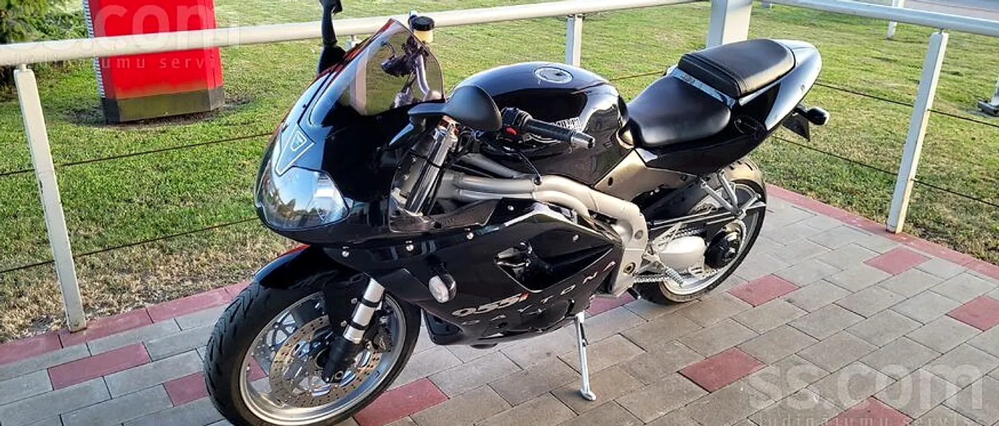 Triumph Daytona 955i, 2023. gads