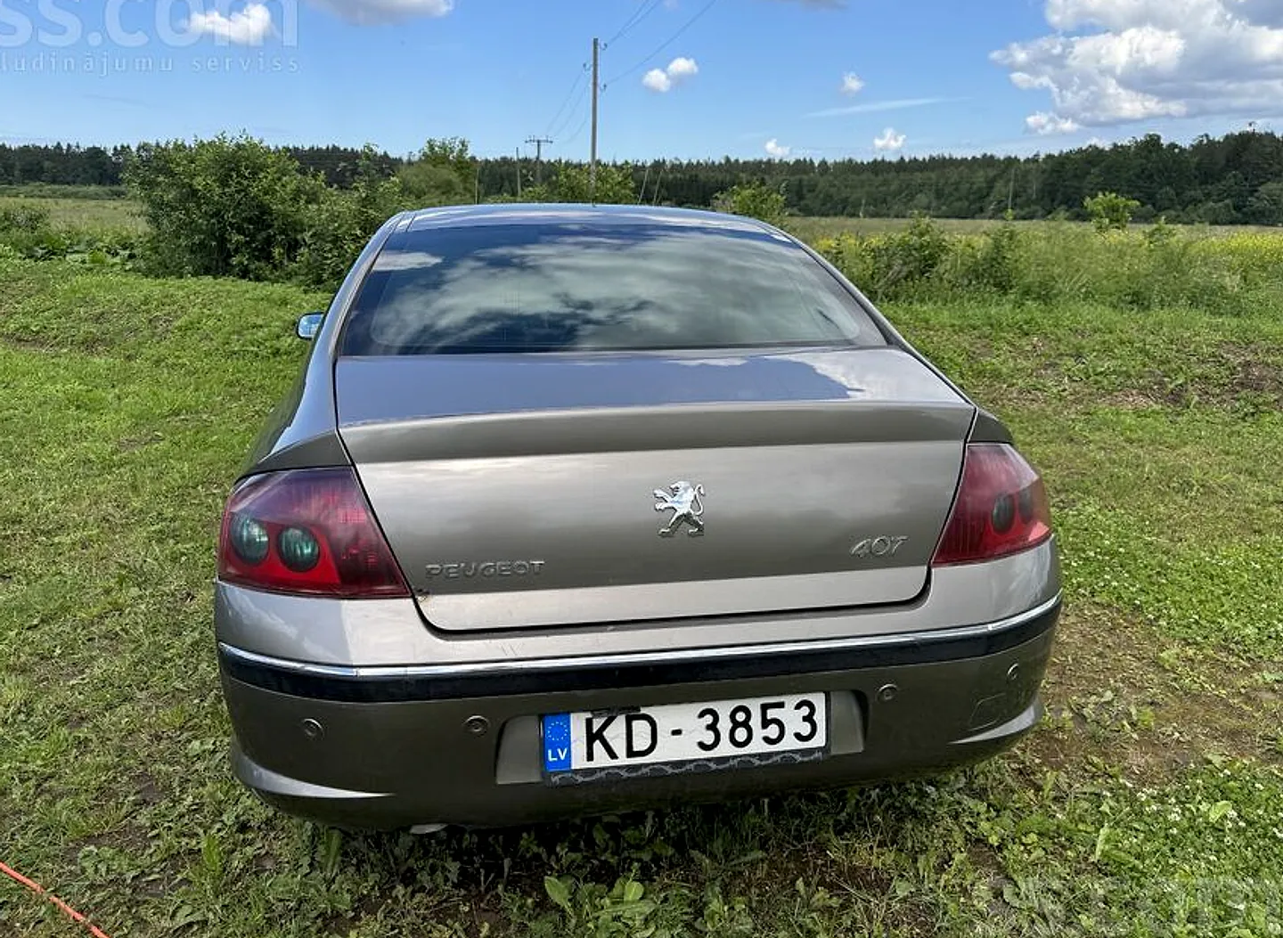 Peugeot 407, 2006. gads