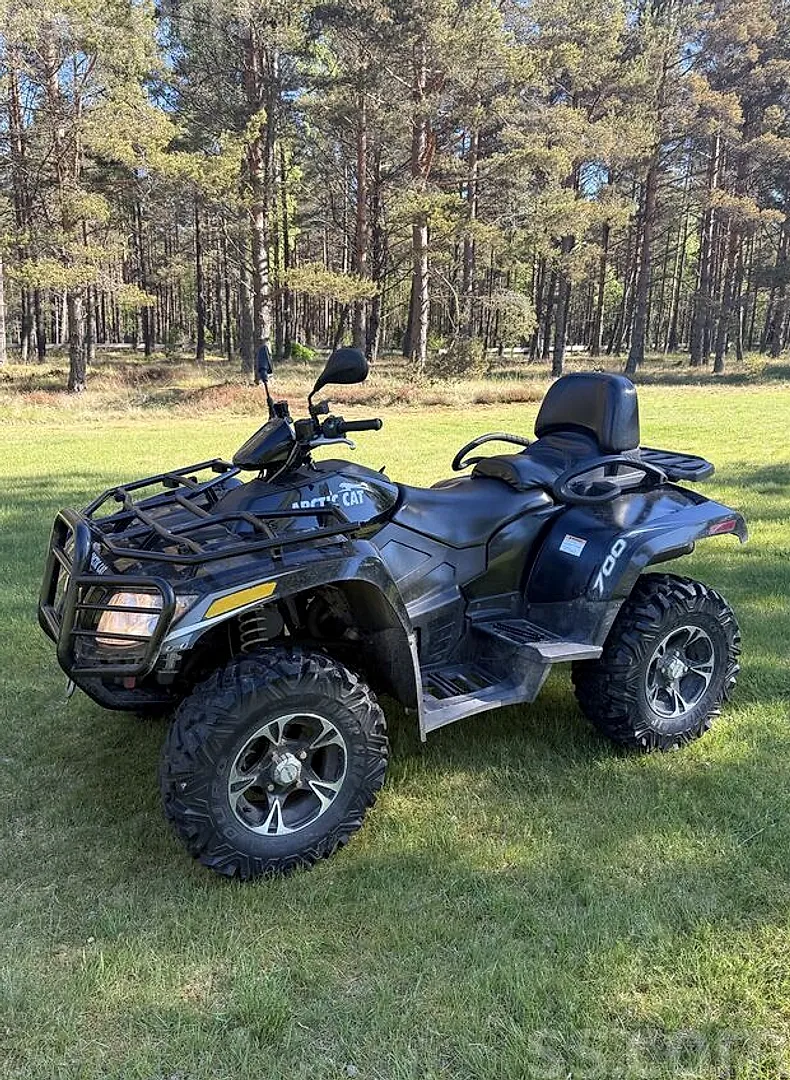 Arctic cat