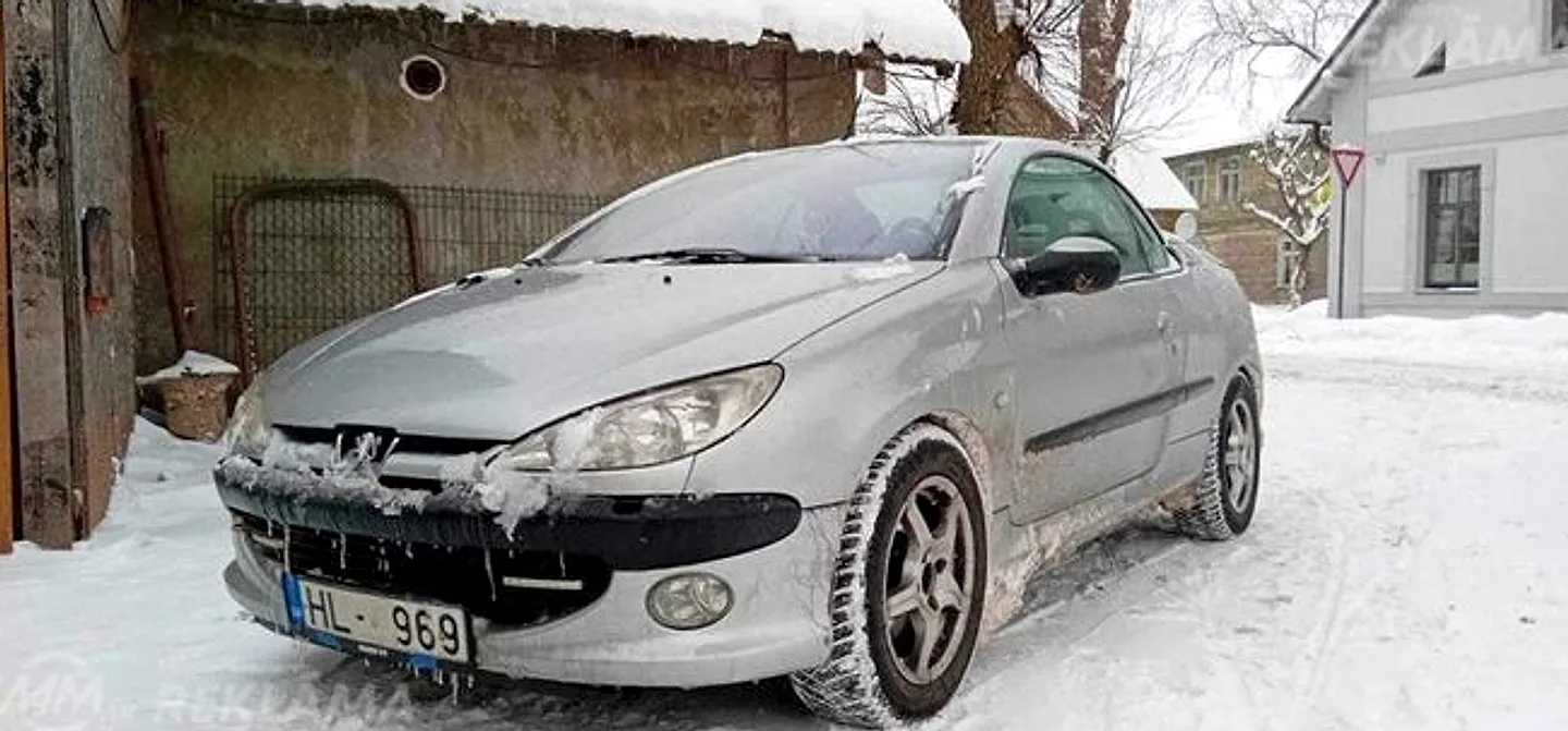Peugeot 206, 2002. gads