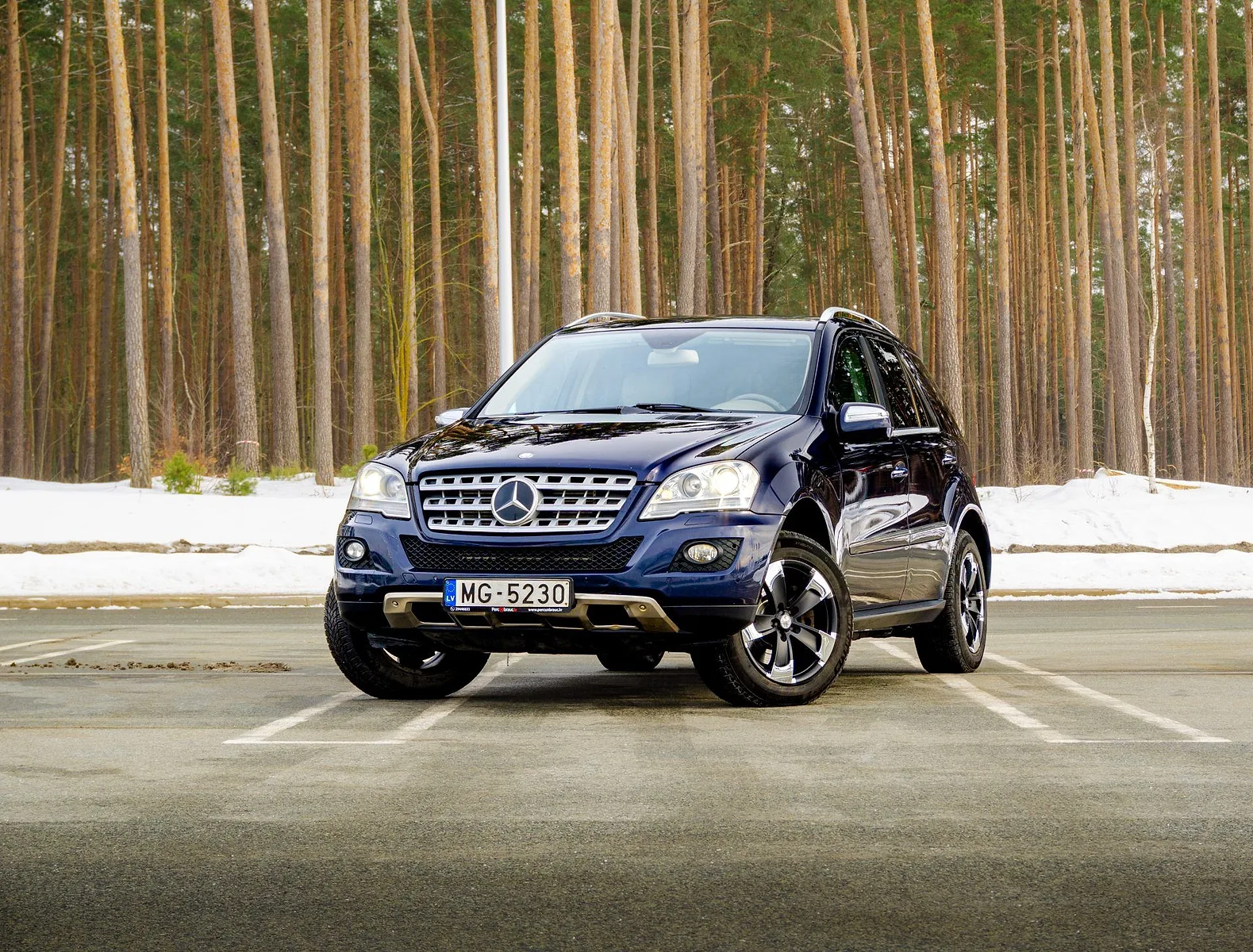Mercedes-Benz BENZ ML 420, 2009. gads