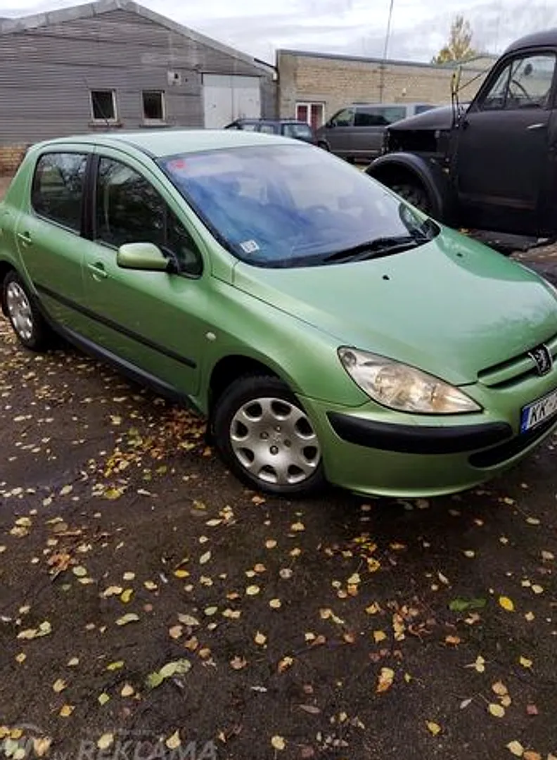 Peugeot 307, 2002. gads