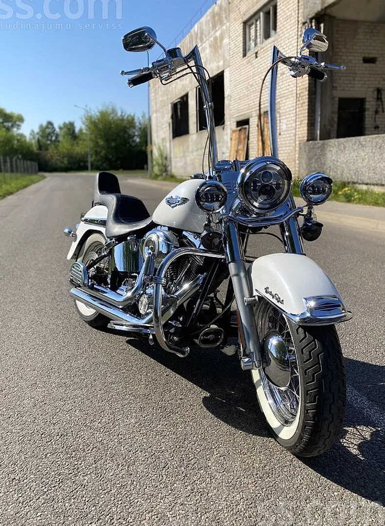 Harley-Davidson Flstc, 2010. gads