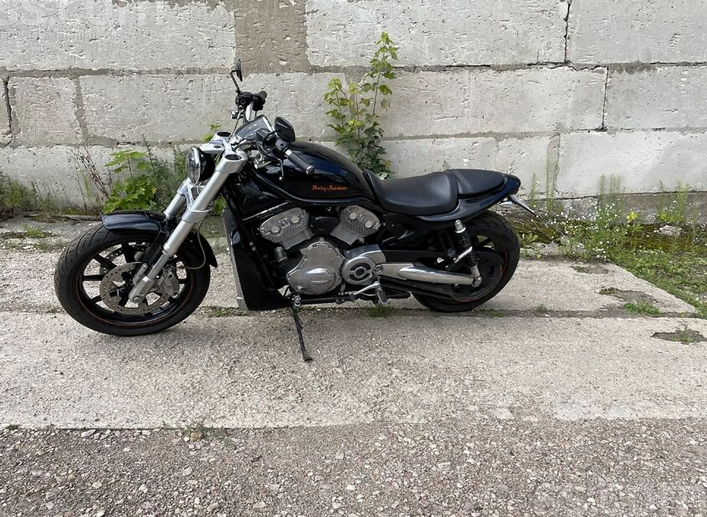 Harley-Davidson Vrscr