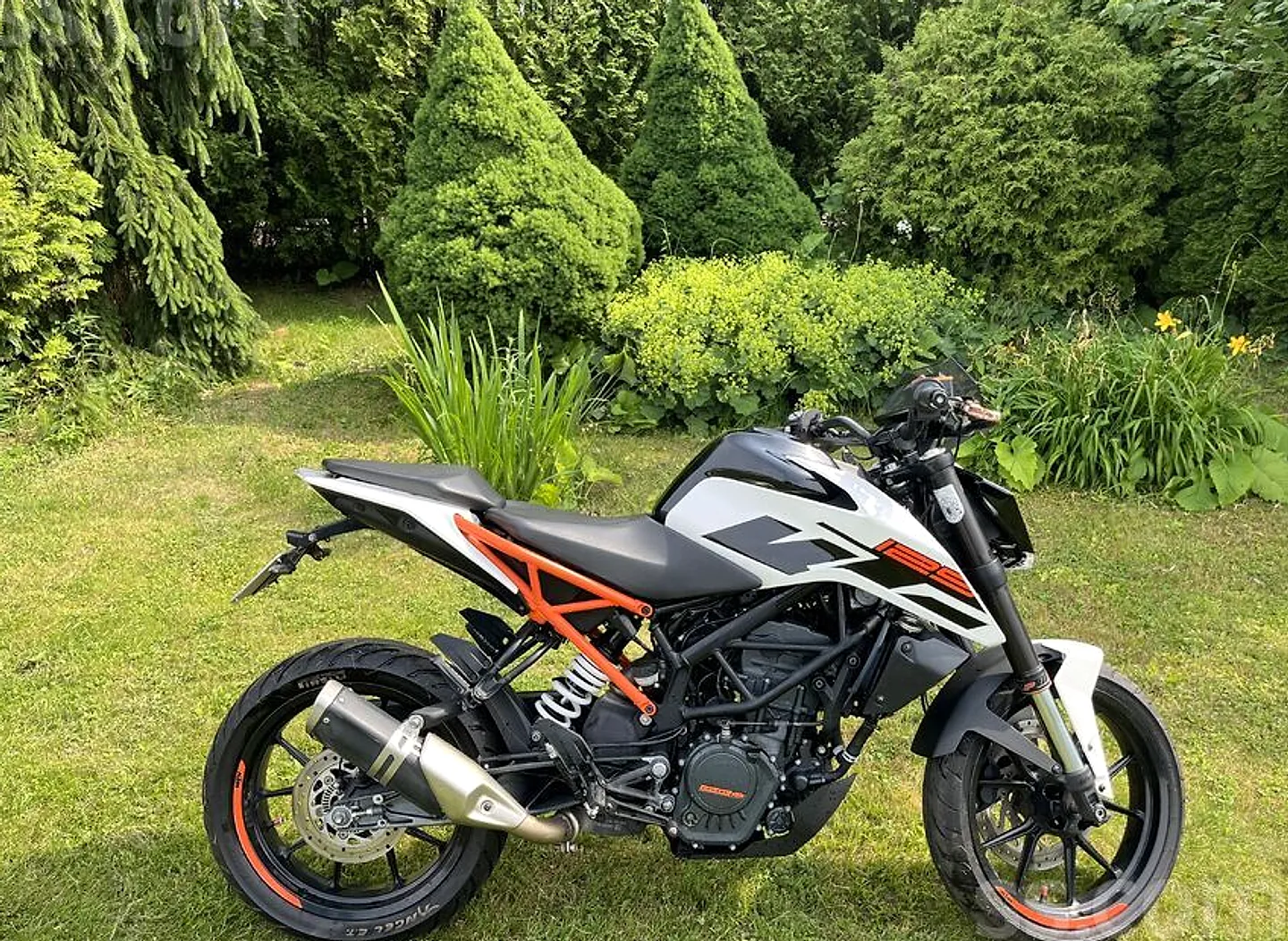 KTM Duke, 2017. gads